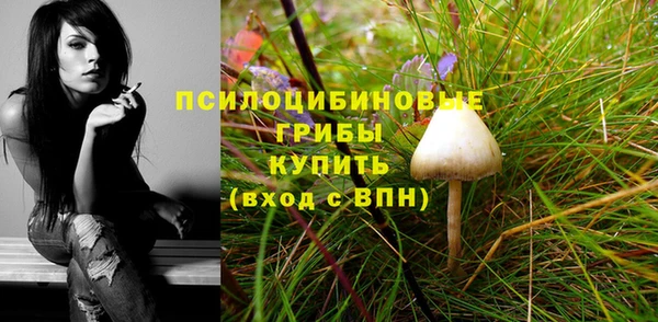 дмт Баксан