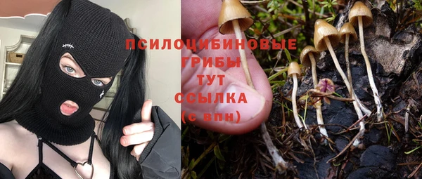 ALPHA PVP Балахна