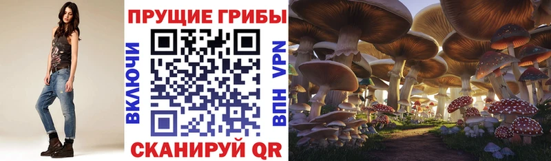 купить наркоту  Нея  Псилоцибиновые грибы Magic Shrooms 
